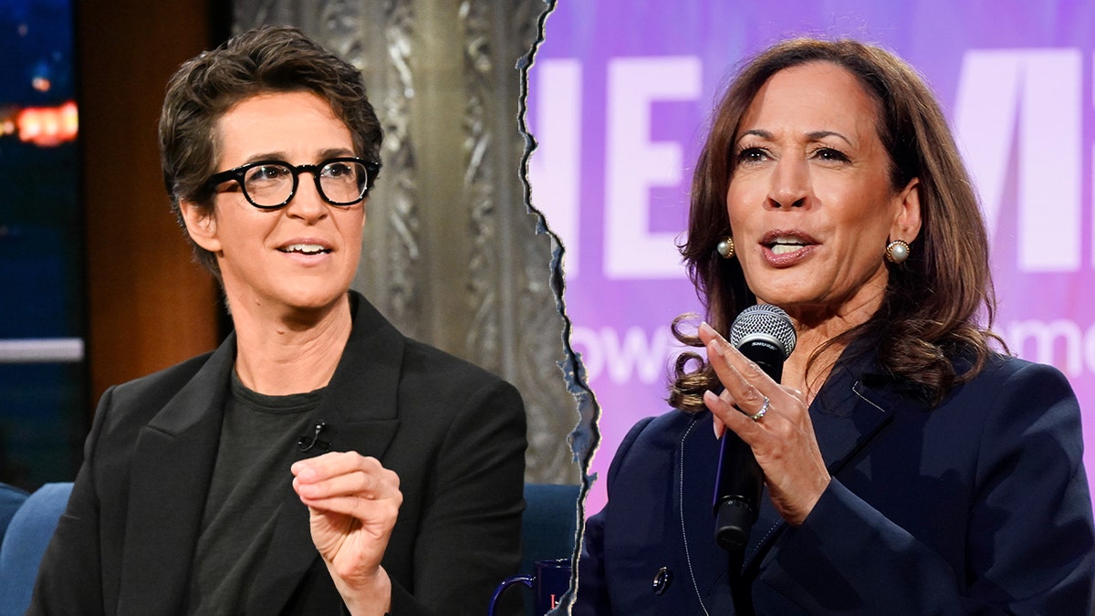 Rachel Maddow regrets not pressing Kamala Harris more during interview about '107 Days' memoir at george magazine