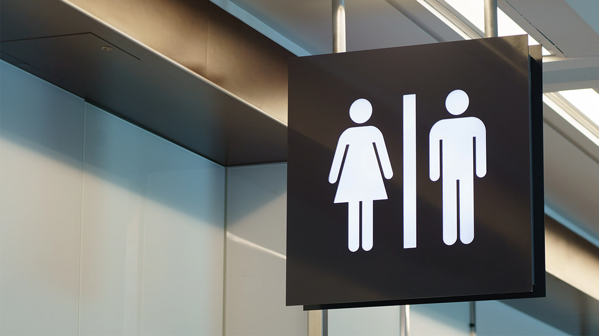 New York state blocks second Long Island school district from adopting transgender bathroom ban  at george magazine