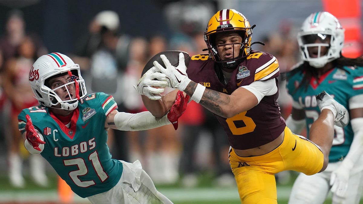 Minnesota wide receiver makes incredible diving catch to win bowl game at george magazine