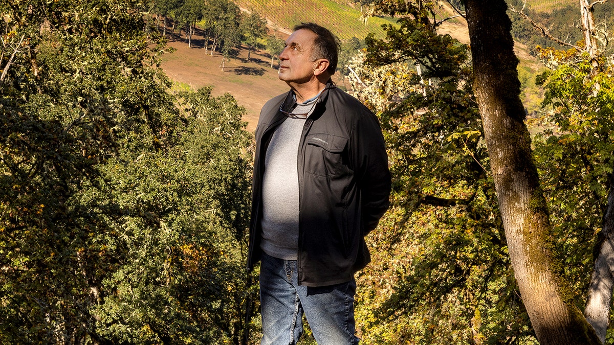 Iranian refugee builds world-ranked American winery rooted in heritage and health at george magazine