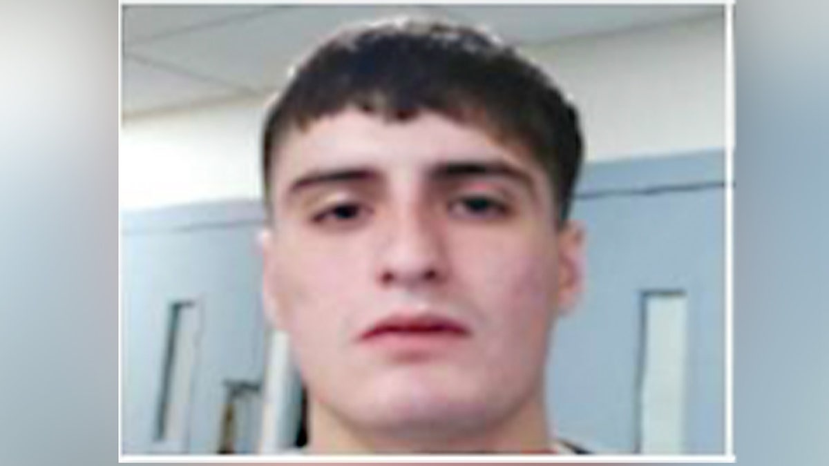 DHS packages latest ICE arrests as 'Christmas gift to Americans' at george magazine