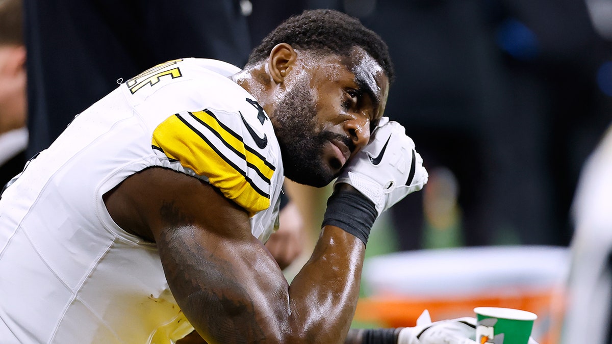 NFL suspends Steelers' DK Metcalf for 2 games after altercation with Lions fan at george magazine
