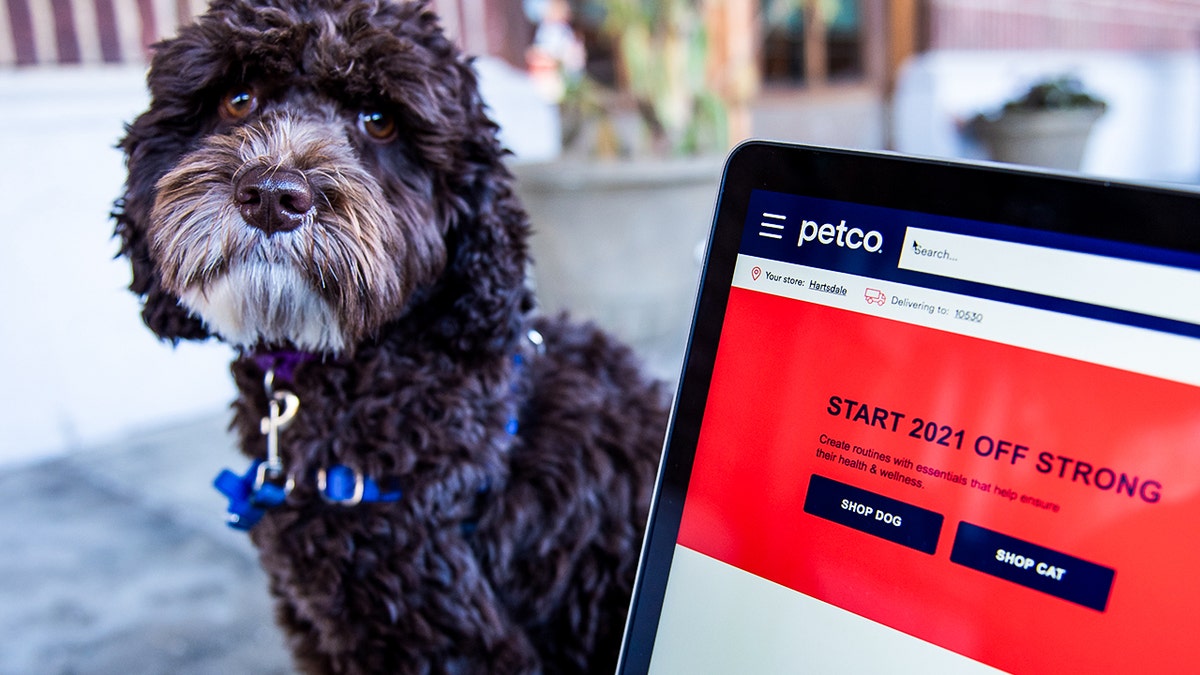 Petco confirms major data breach involving customer data at george magazine