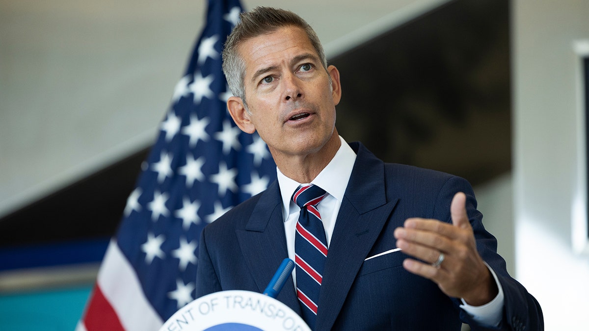 Transportation Secretary Sean Duffy's pregnant daughter rips 'unconstitutional' TSA after 'invasive pat-down' at george magazine