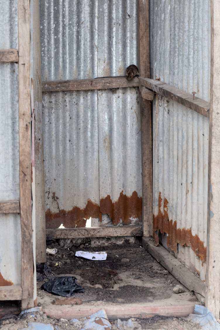 Trump Officials Celebrated With Cake After Slashing Aid. Then People Died of Cholera. at george magazine