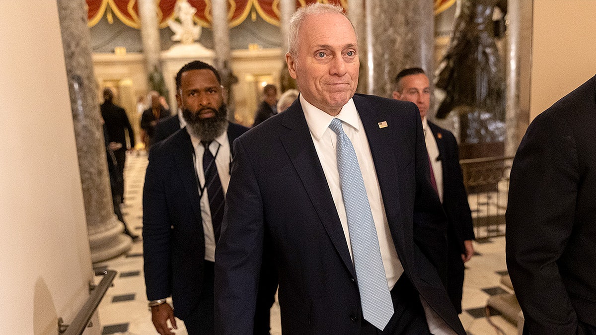 Scalise announces GOP healthcare overhaul coming in 'next few weeks' amid battle over expiring subsidies  at george magazine