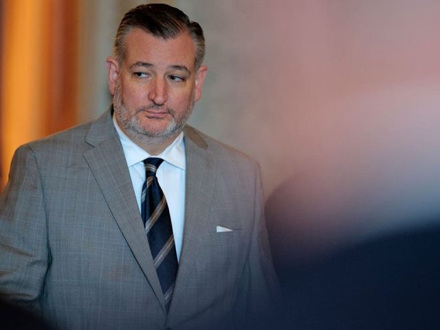 Ted Cruz responds to poorly aged CNN fact-check of his 2021 claim Afghan refugees weren’t properly vetted