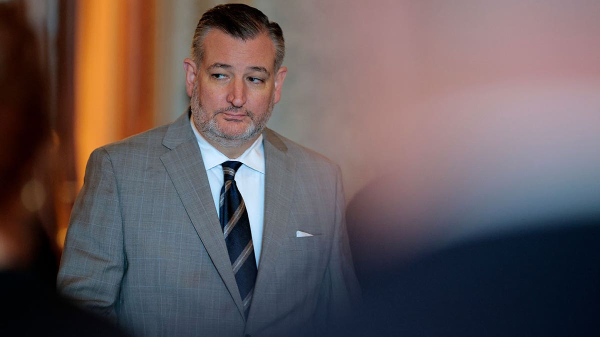Ted Cruz responds to poorly aged CNN fact-check of his 2021 claim Afghan refugees weren't properly vetted  at george magazine