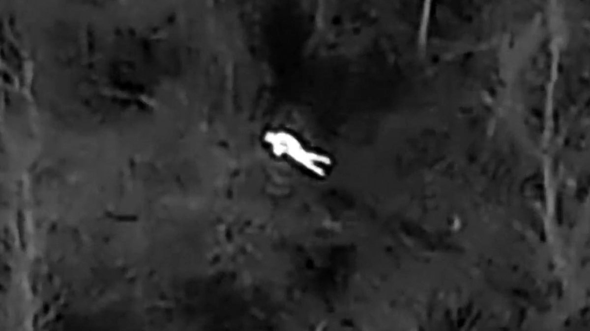 Missing elderly person found in bitter cold woods after police deploy thermal imaging drone at george magazine