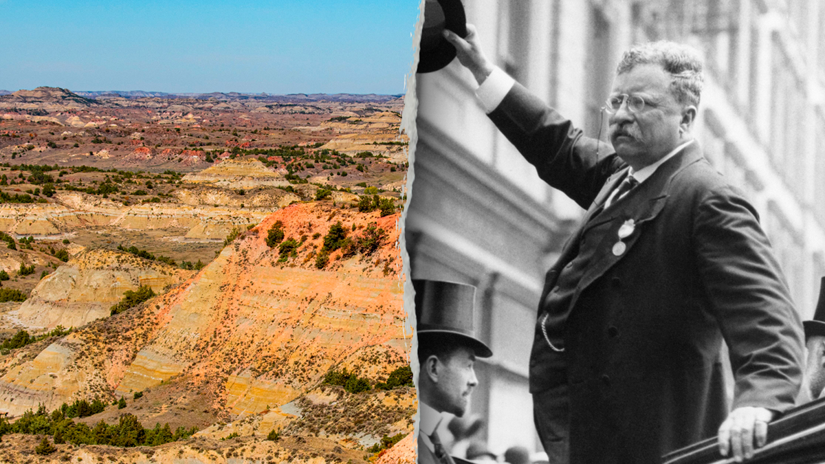 Interior Department plans AI Theodore Roosevelt exhibit for America250 at george magazine