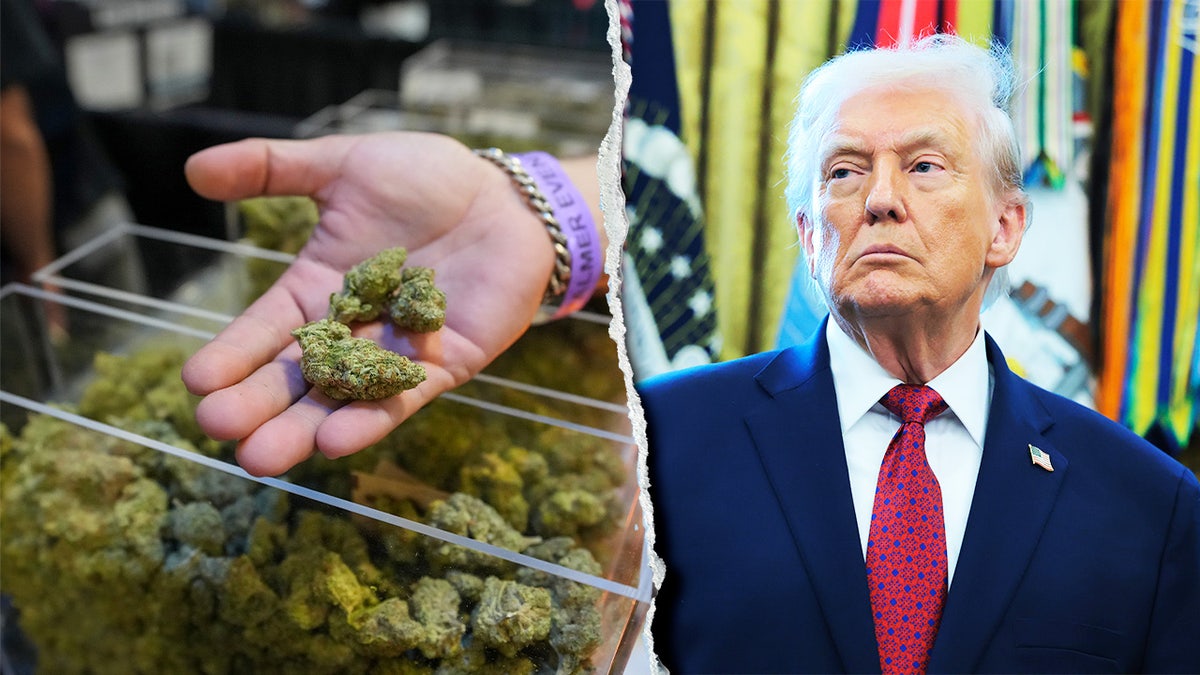 House Republicans demand Trump reverse course after 'strongly considering' marijuana executive order at george magazine