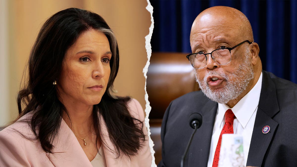 Gabbard blasts Democrat Bennie Thompson for calling National Guard shooting an ‘unfortunate accident’ at george magazine