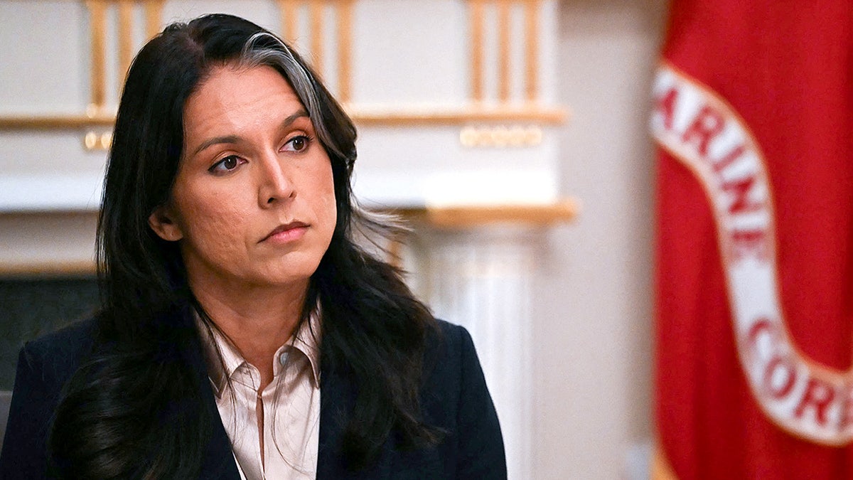 Tulsi Gabbard warns of 'direct threat' from suspected terrorists now living in United States at george magazine