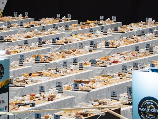 American cheddar stuns global judges, beating out European cheeses and sparking worldwide reaction