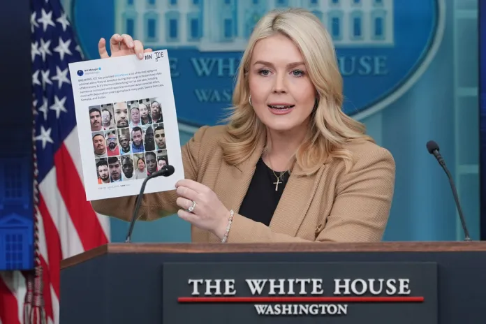 Leavitt urges Democrats to grab a coffee with an ICE officer before blowing up at ‘left-wing hack’ reporter at george magazine