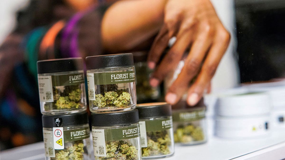 Chicago Catholic university offers courses on running cannabis dispensaries at george magazine