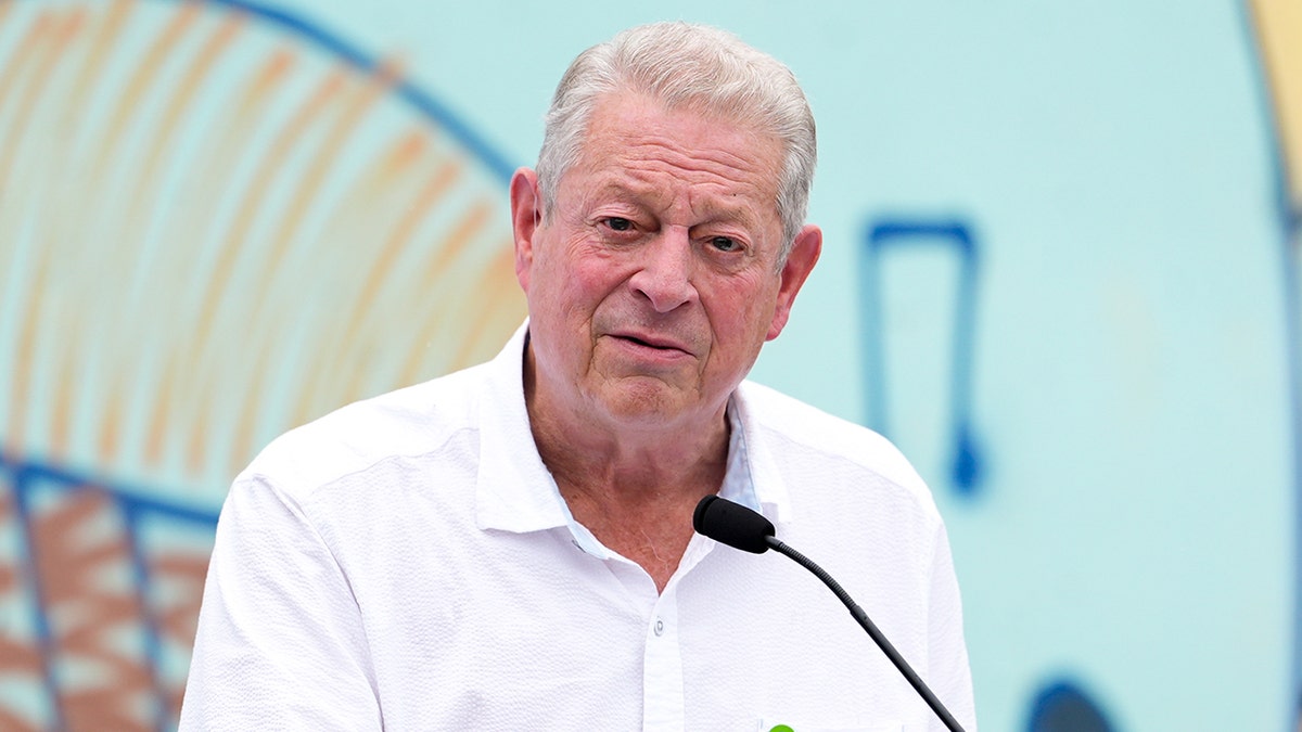 Al Gore sounds 'climate crisis' alarm as Trump yanks US from UN initiatives at george magazine