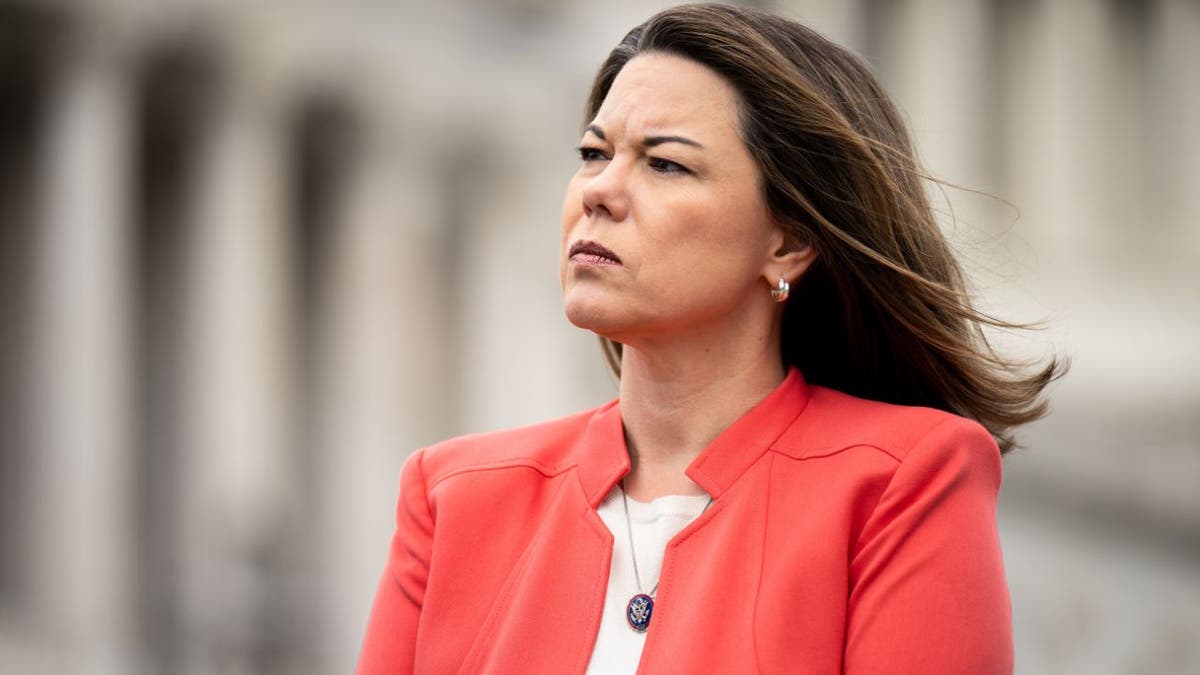 Minnesota Dem compares ICE operations to 1930s Germany, adding 'nothing should be off the table' to stop it at george magazine