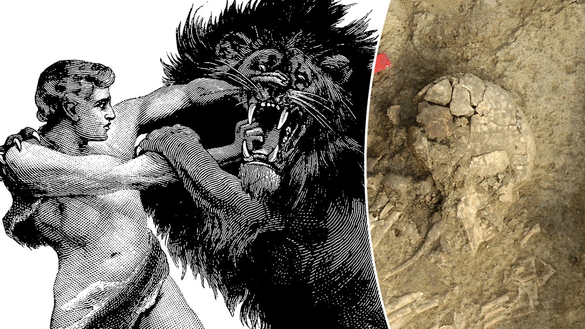 Ancient man survived brutal lion attack, suffered lifelong damage: 'Extremely rare' at george magazine