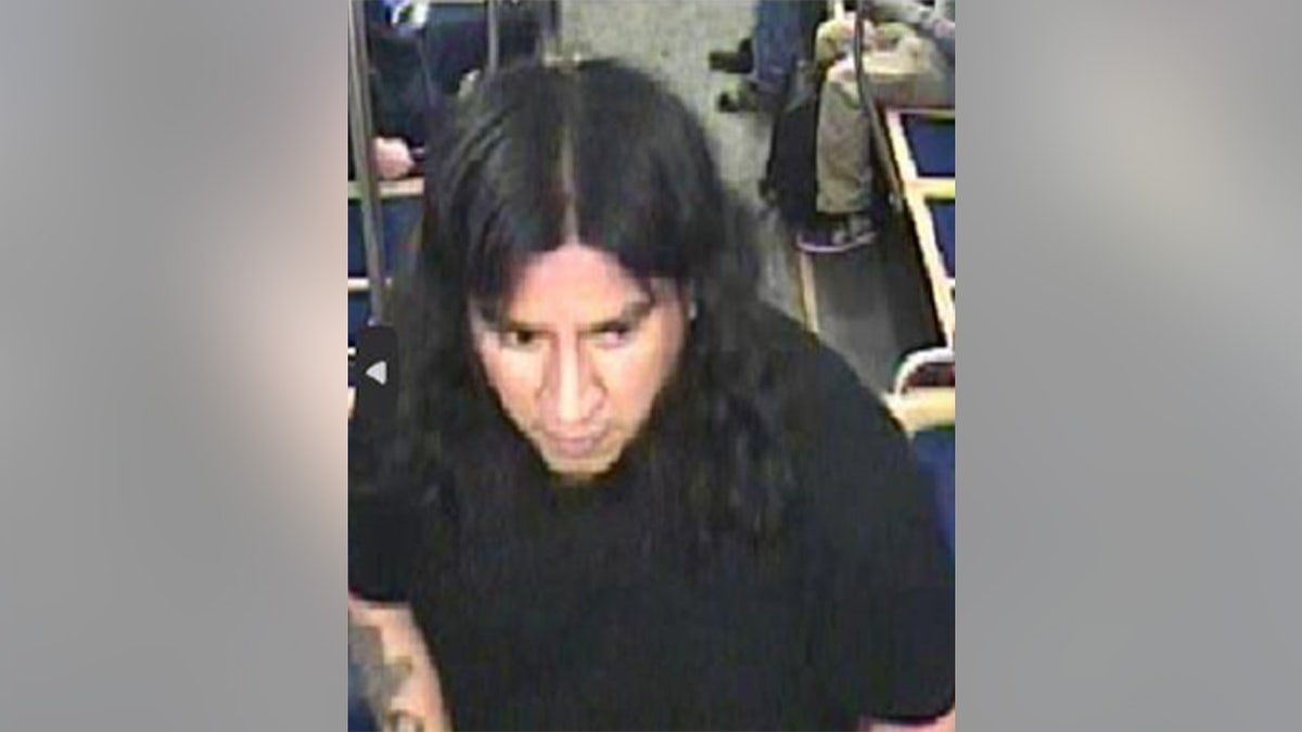 Man accused of nearly beating Chicago train passenger to death walks free with no prison time: report at george magazine