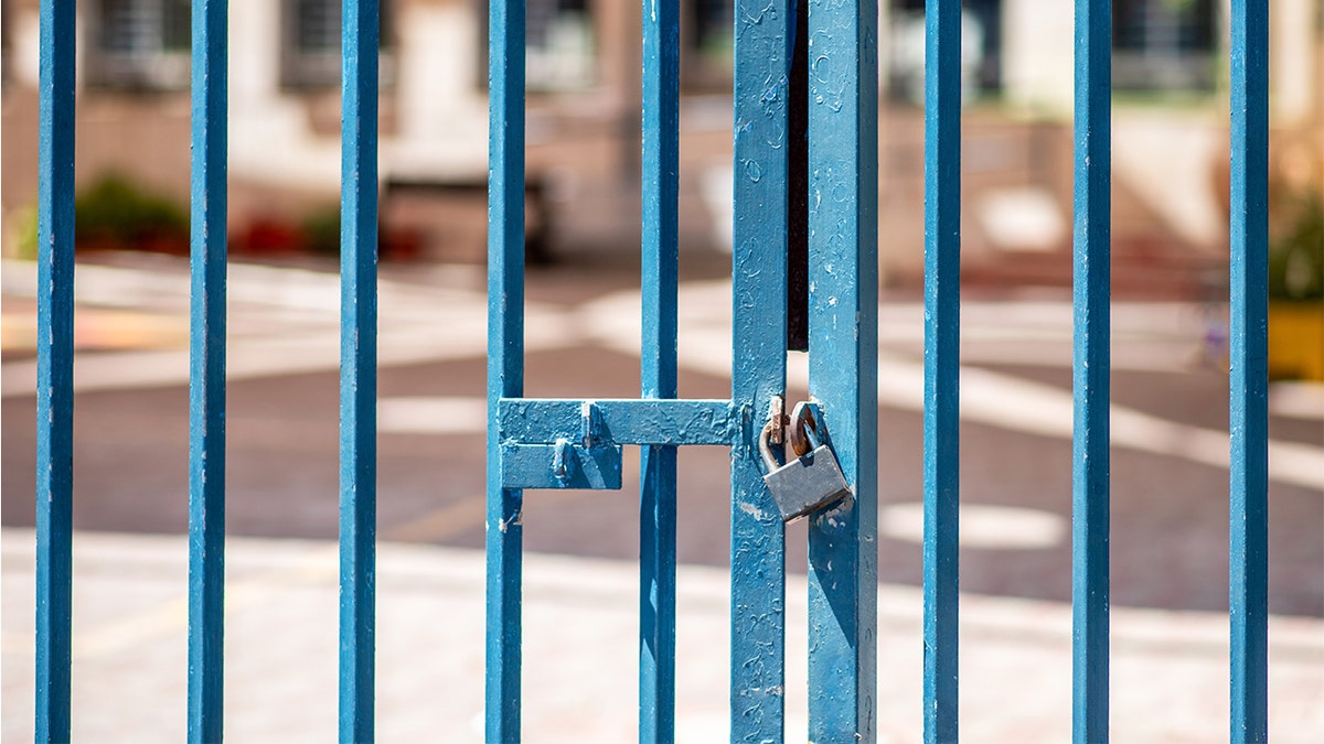 Universities slash 9,000+ positions in 2025 as Trump targets federal funding and foreign students: report at george magazine