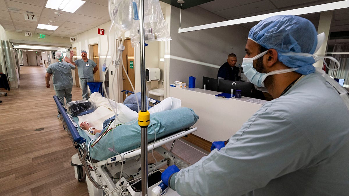 Medical watchdog challenges key study used to justify DEI health policies: 'Scientifically unsound' at george magazine