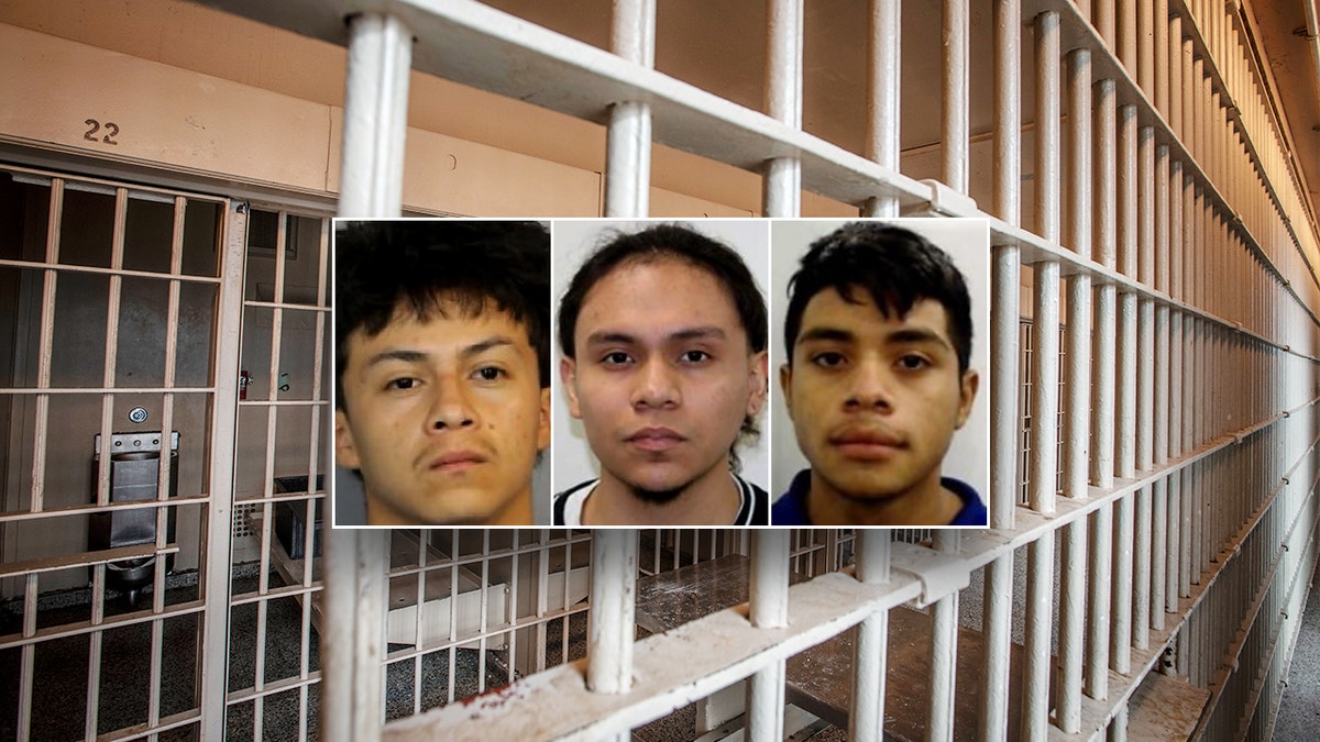 ICE seeking detention of 3 alleged MS-13 members accused of murdering 14-year-old boy at george magazine