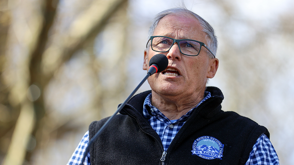 Top Dem lambasted for demanding Congress ban ICE from polling places: ‘Wait, why...?’ at george magazine