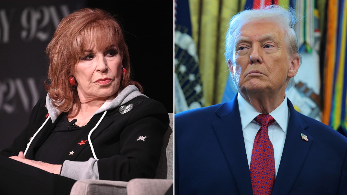 Joy Behar claims Trump seeking to declare martial law to stop midterm elections amid ICE protests at george magazine
