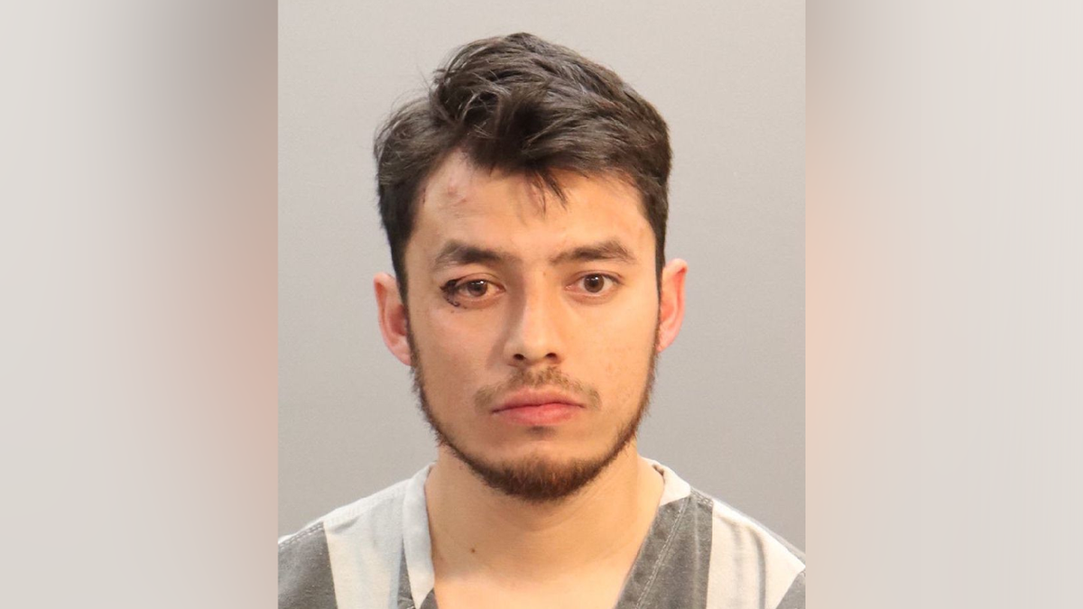 Illegal immigrant allegedly ran from deadly wrong-way DUI crash that killed motorcyclist, records show at george magazine