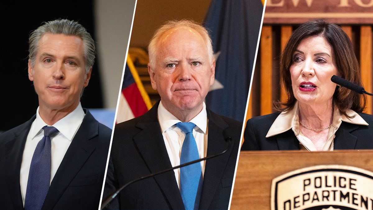 House Republicans call Minnesota fraud probe 'tip of the iceberg' as more blue states face scrutiny at george magazine