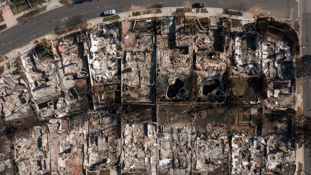 After the ashes: A Palisades resident’s life in decimated LA enclave one year after deadly wildfires at george magazine