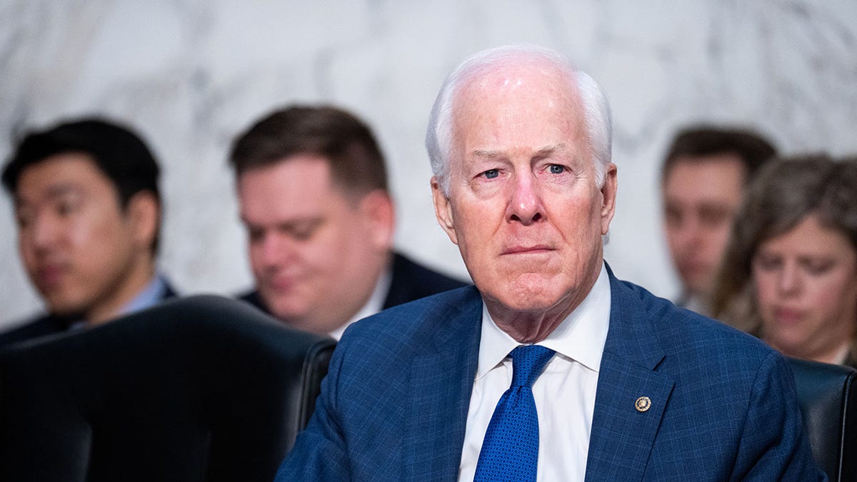 Cornyn pushes 'zero mercy' law to deport illegal immigrants convicted of deadly drunk driving at george magazine