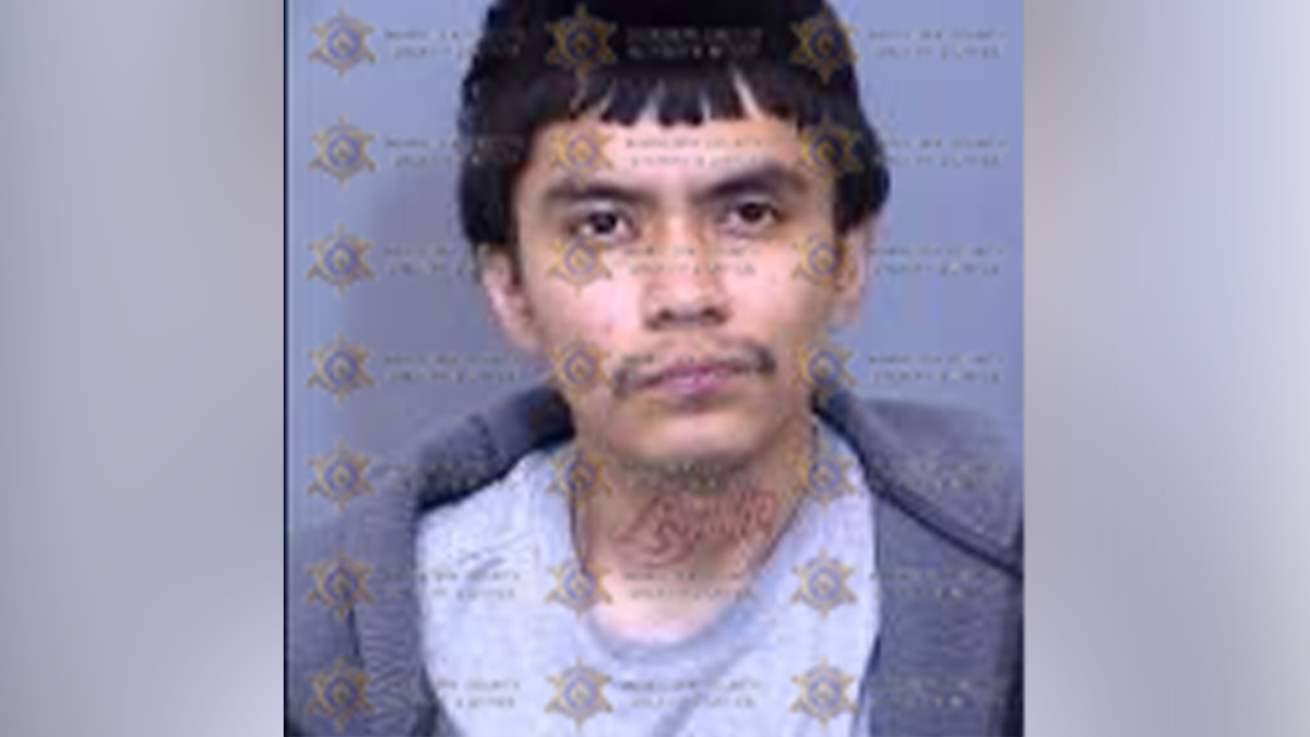 Phoenix gas station murder suspect had weapons charge tossed before fatal shooting, records show at george magazine