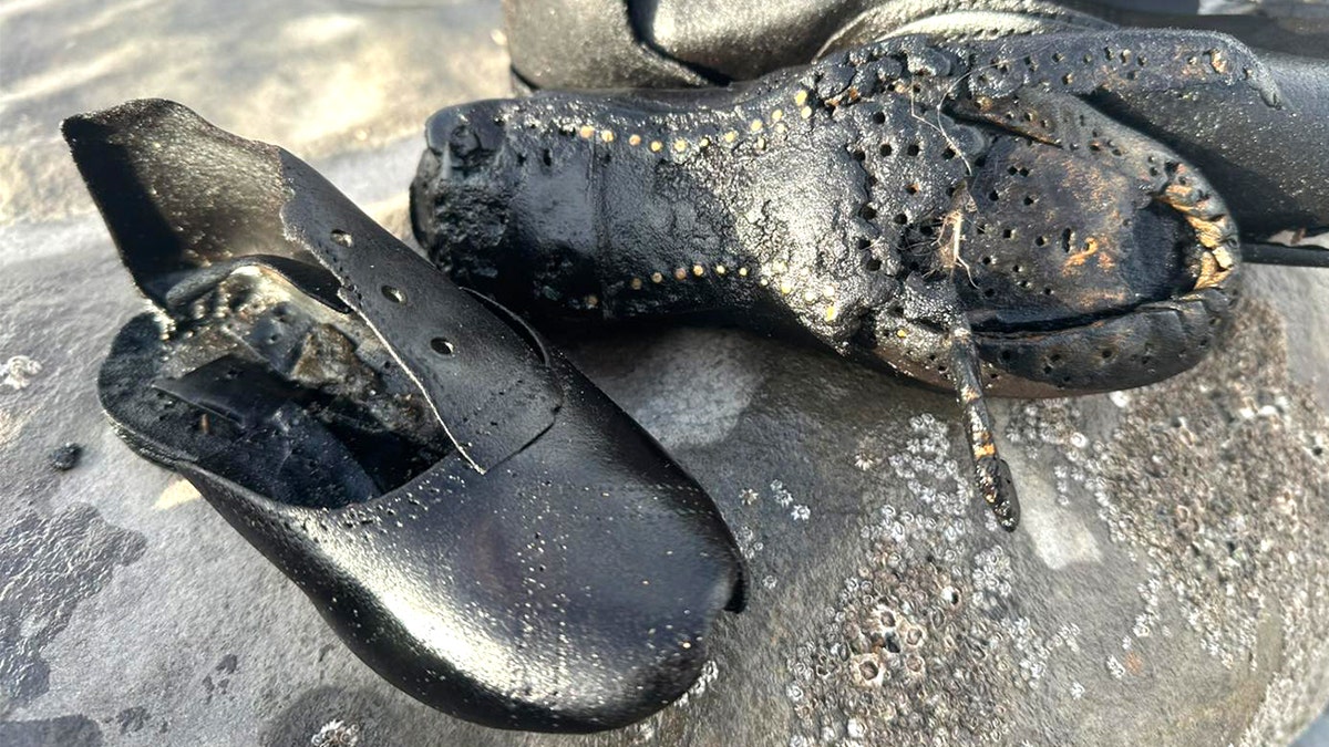 Hundreds of mysterious old shoes wash up on beach during cleanup, baffling officials at george magazine