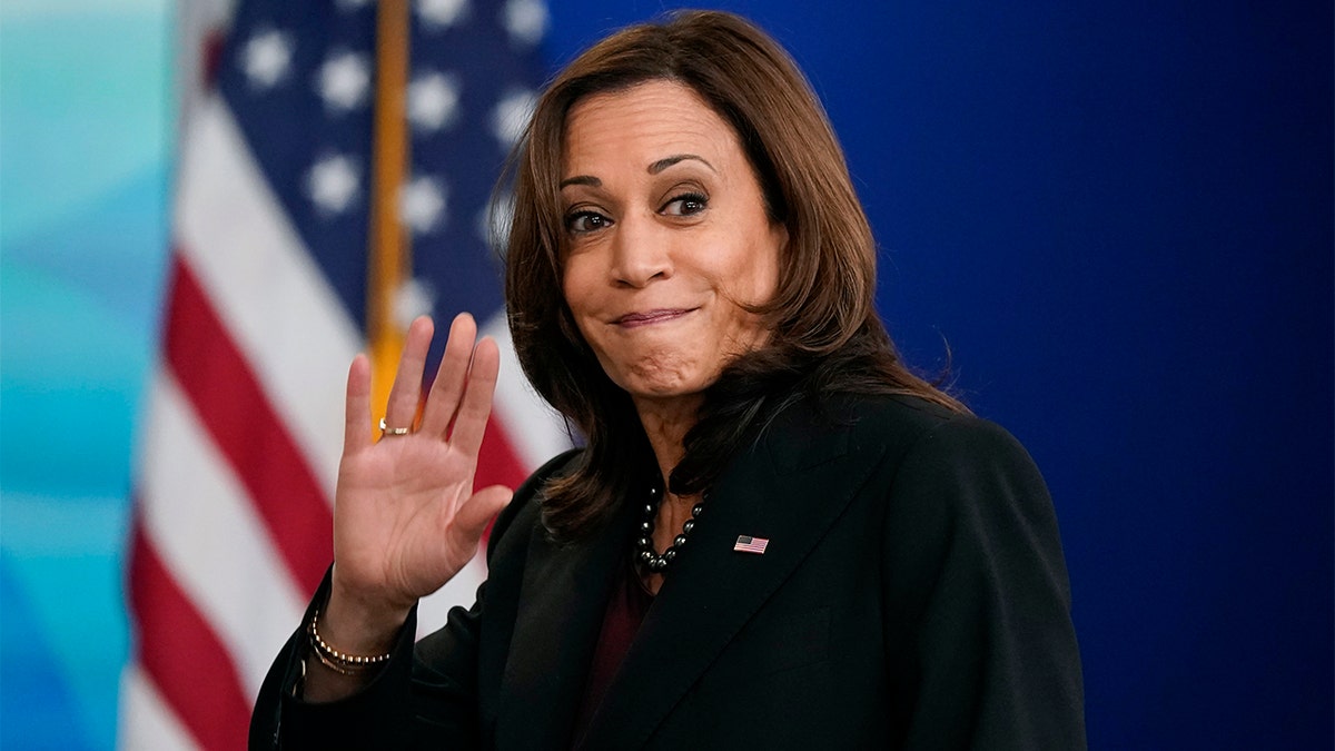 Kamala Harris mocked after relaunch of campaign account as ‘Gen-Z led progressive content hub’ at george magazine