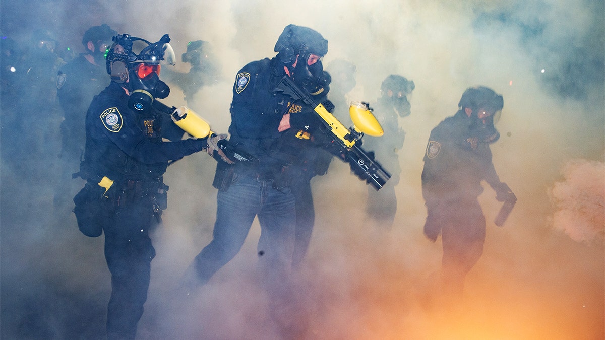 DHS unloads on anti-ICE Dems after man arrested with manifesto, 'disturbing' alleged plot to kill agents at george magazine