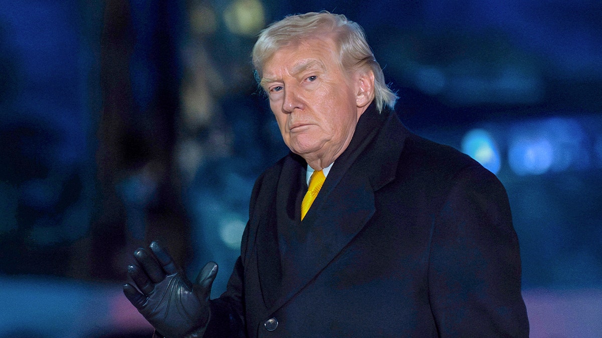 Revealed: Trump called police chief to support Epstein probe, and lawmakers named 6 men shielded from exposure at george magazine