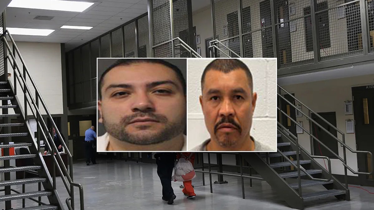 Weekend Roundup: Convicted murderers, child sex abusers among illegal aliens nabbed by ICE across US at george magazine