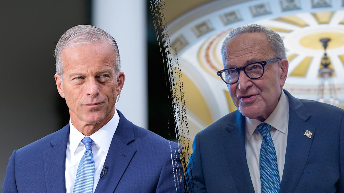 Thune calls out 'two Americas' as Democrats refuse to stand for war heroes, law enforcement at SOTU at george magazine