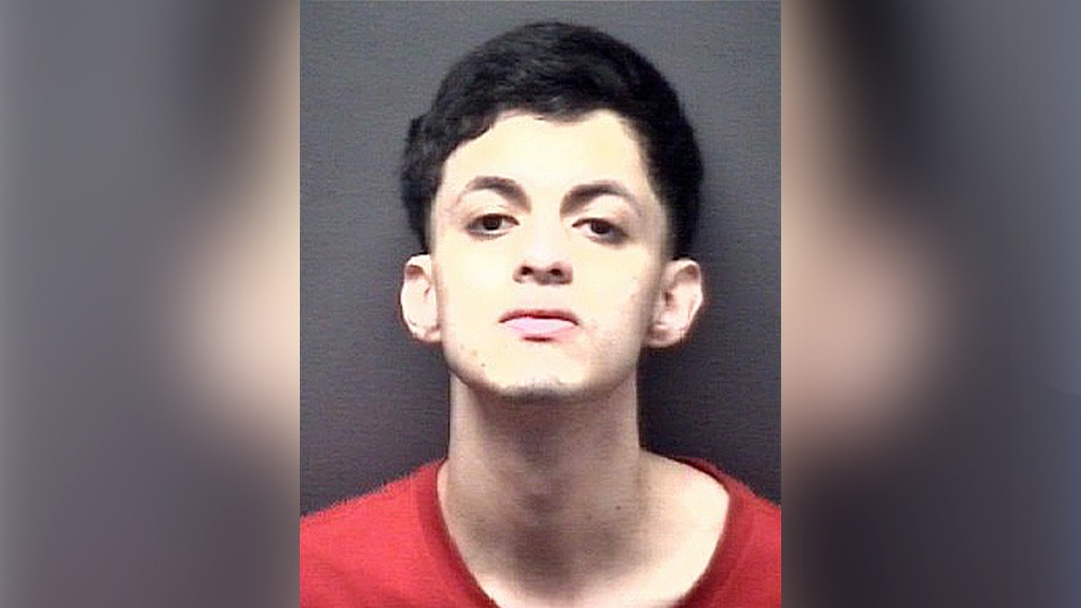 Two illegal aliens arrested in violent suburban home invasion involving sexual assault, kidnapping: police at george magazine