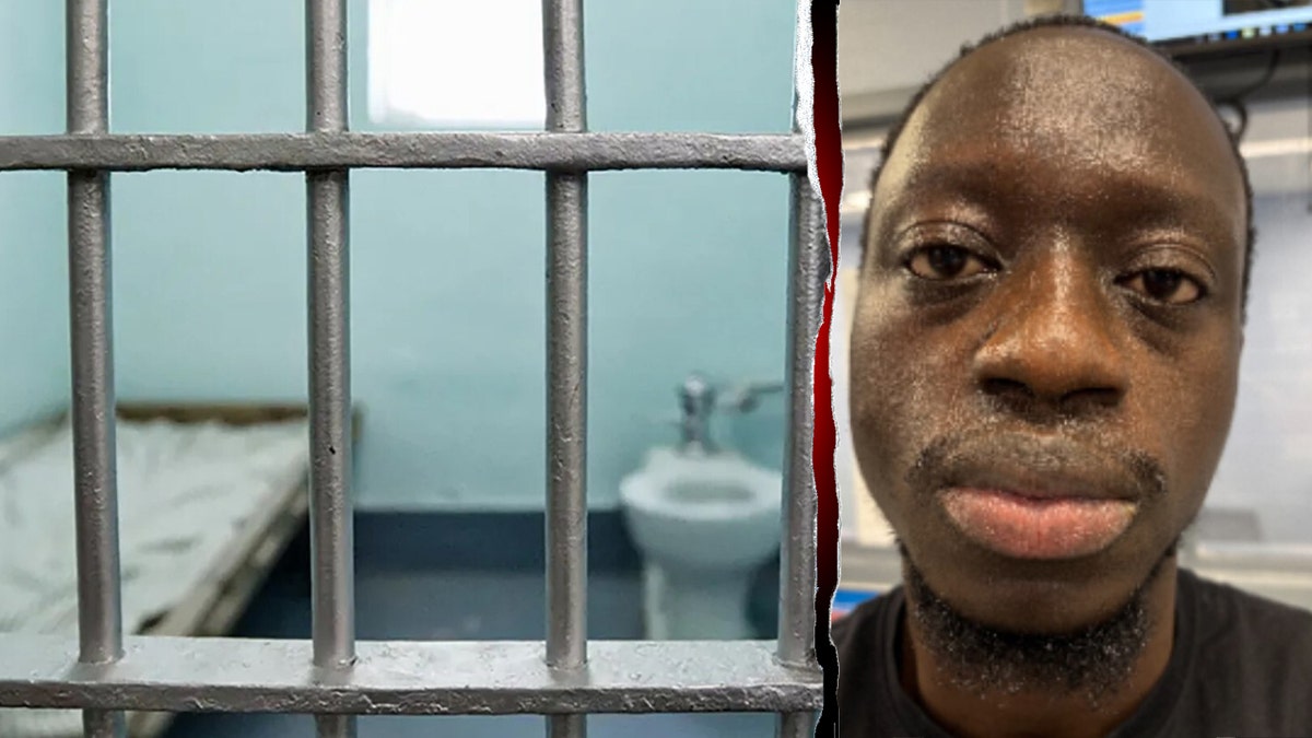 ICE arrests illegal immigrant training as Pennsylvania corrections officer suspected of rape at george magazine