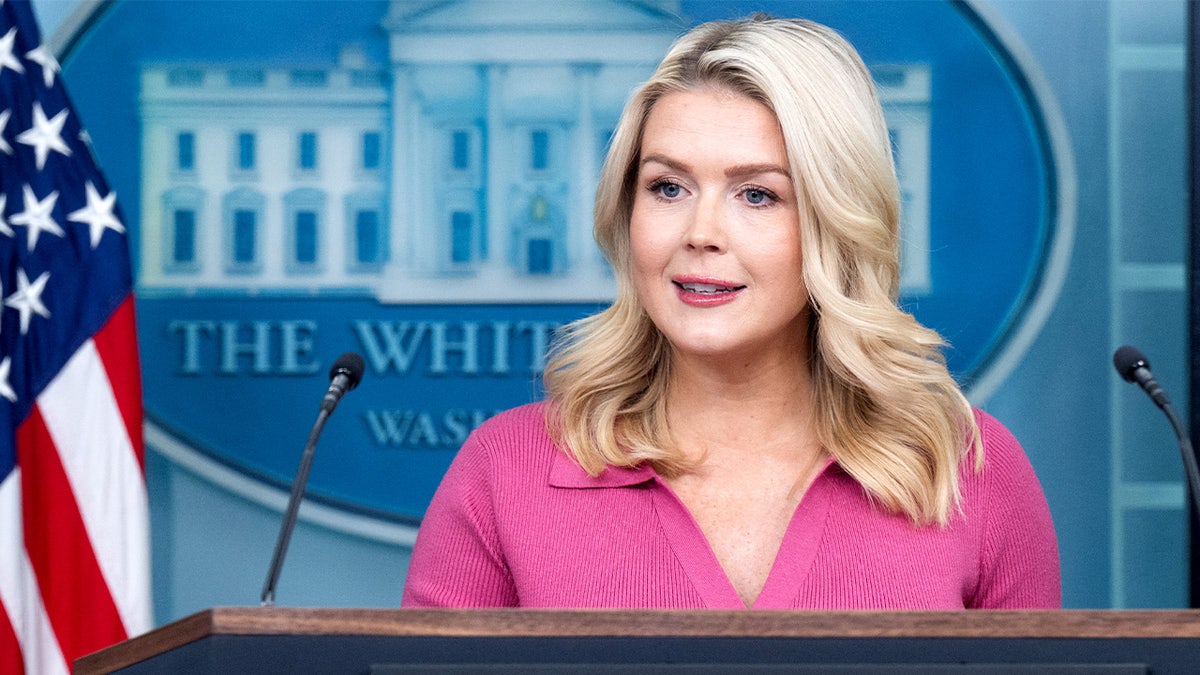 Leavitt flips script on media for balking at Fulton election probe after years of promoting Russia claims at george magazine