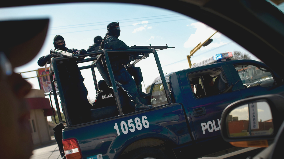 Kingpins fall, prices don’t: How cartels defy the rules of economics at george magazine