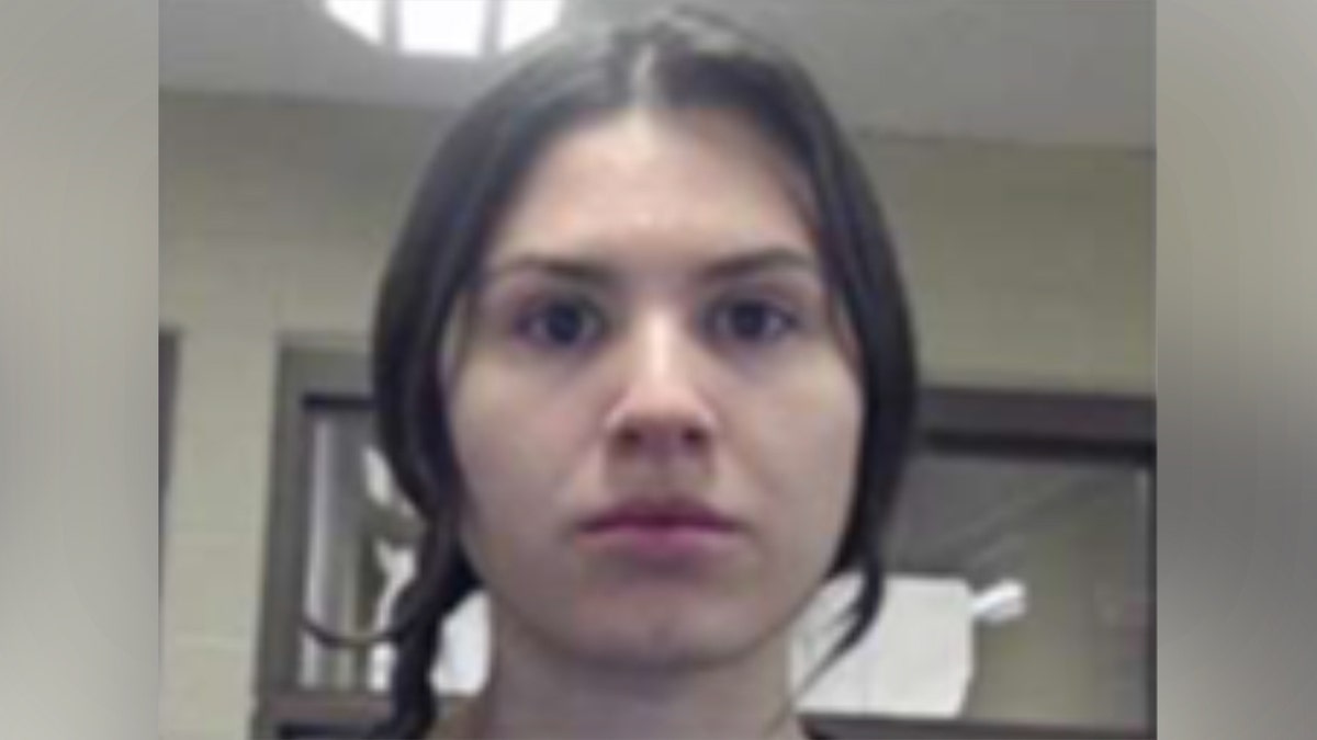 ICE arrests illegal immigrants convicted of child rape, sexual assault, drug trafficking at george magazine