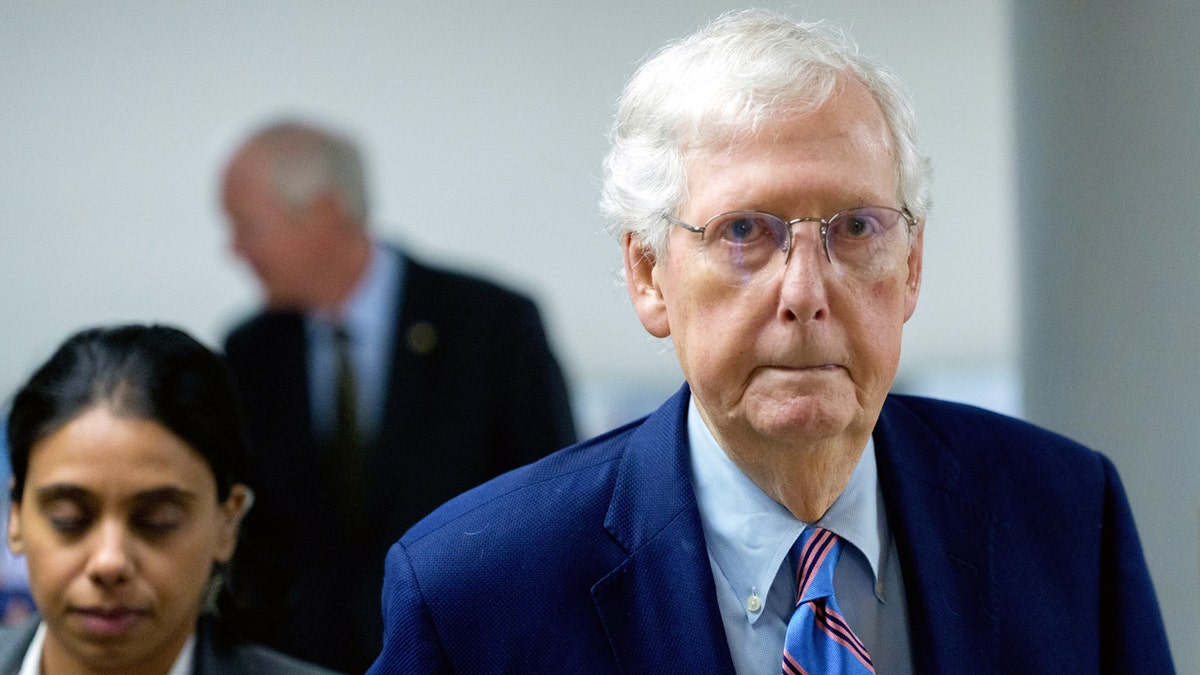 Mitch McConnell hospitalized after experiencing flu-like symptoms over the weekend at george magazine