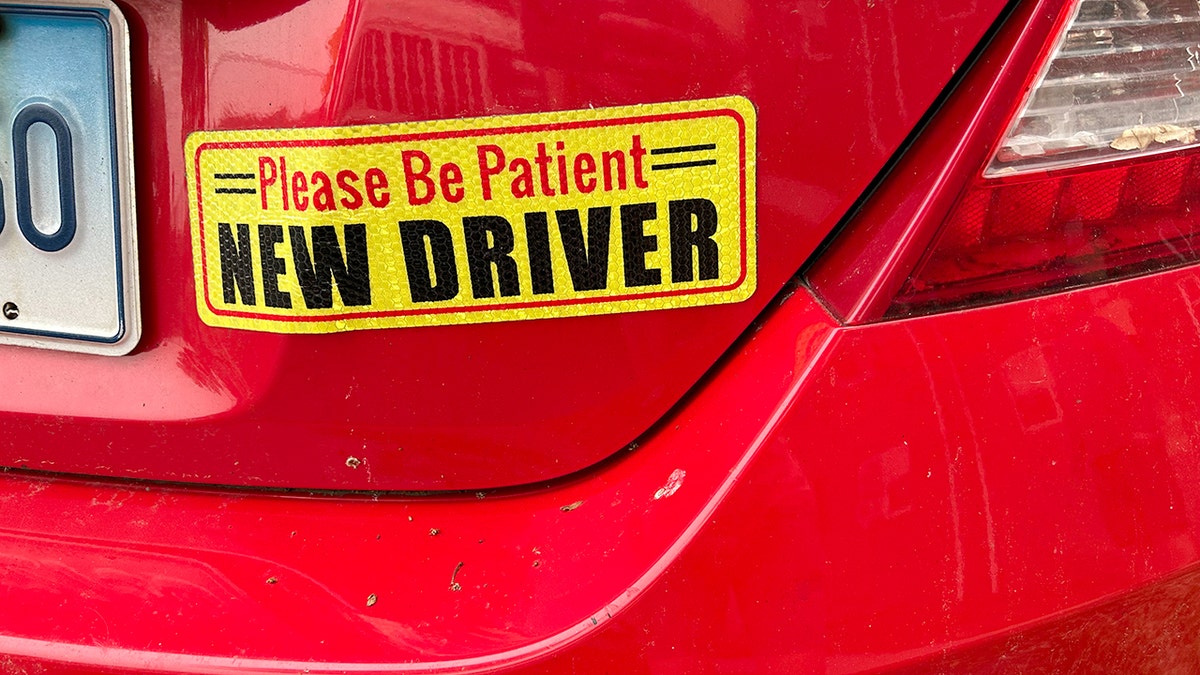 Florida driver's license tests now only given in English at george magazine