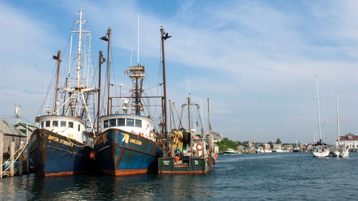Trump vows to ‘unleash’ commercial fishing off New England, reversing Obama-era Atlantic restrictions at george magazine