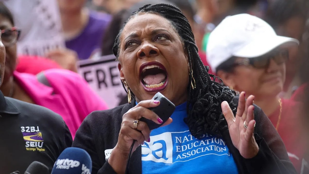 Fox News Campus Radicals Newsletter: Top teachers' union under fire, anti-ICE agitator network exposed at george magazine