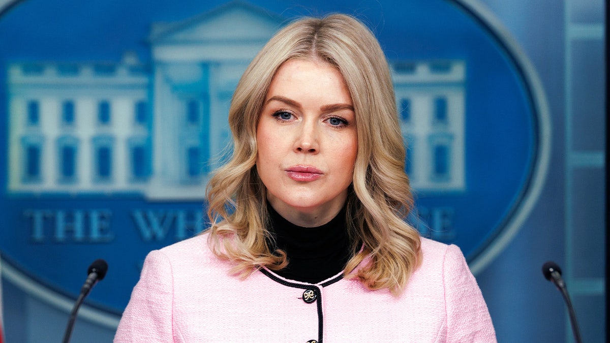 Leavitt says Trump will not ‘waver’ on illegal immigration crackdown despite Democratic backlash at george magazine